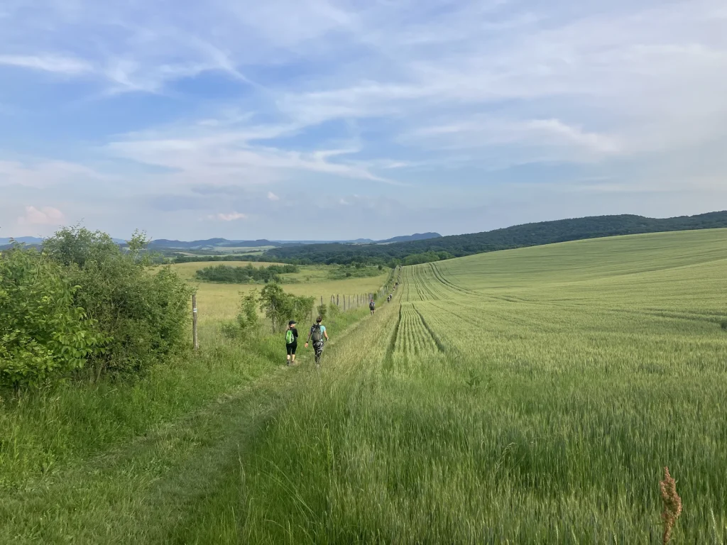 Péliföldszentkereszt felé.