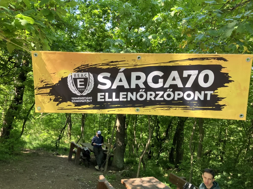 Egy budai ellenőrzőpont.