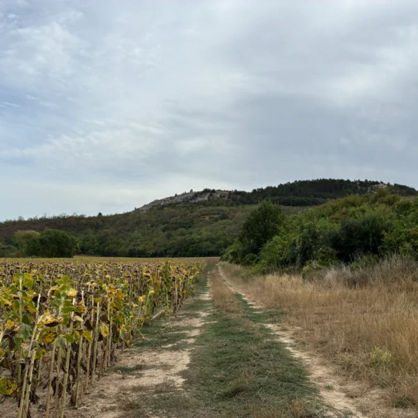 Háromkőtúra
